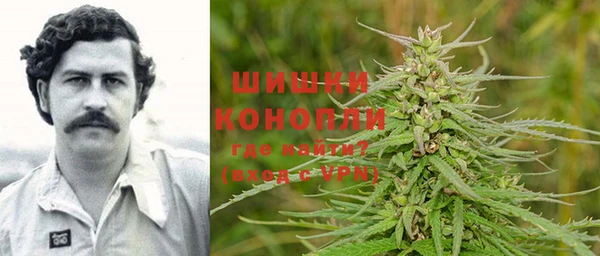 тгк Рославль