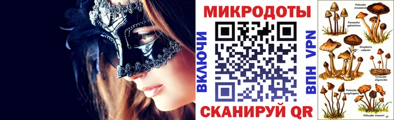 Галлюциногенные грибы GOLDEN TEACHER  дарнет шоп  дарк нет Telegram  Холм 